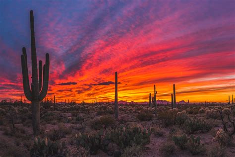 Michaelpocketlist Sonoran Desert Sunset Oc 2500x1667
