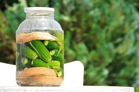 why do pregnant women crave pickles top 4 reasons explained gestation periods