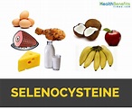 Selenocysteine Facts and Sources | Nutrition