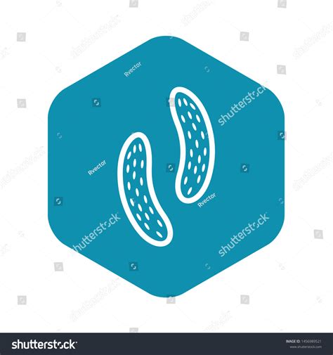 Epithelial Cell Icon Simple Illustration Epithelial Stock Vector