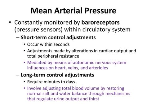 Ppt Regulation Of Blood Pressure Powerpoint Presentation Free