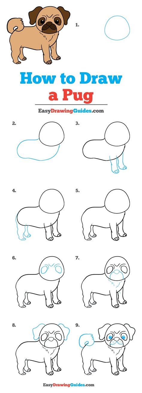 How To Draw A Pug Easy Step By Step