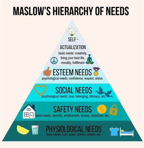 Maslows Hierarchy Of Needs Maslows Hierarchy Of Needs Psychology
