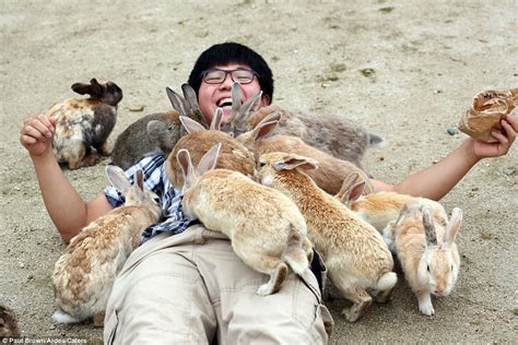 Rabbit Island Japan Tourists Queue Up To Be Smothered In Cute Stampede