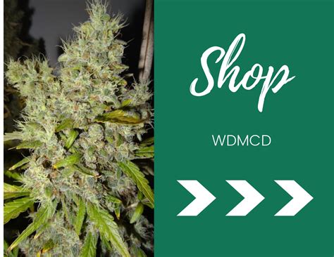 Check spelling or type a new query. 7 Same Day Cannabis Delivery Services in Hamilton Ontario ...