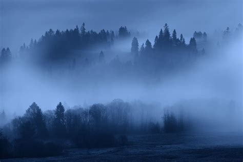 Foggy Night Ii Night Forest Mountain Landscape Cool Landscapes