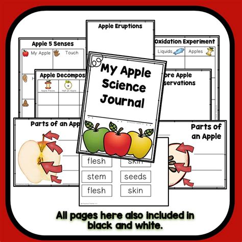 Apple Theme Preschool Classroom Lesson Plans Preschool Teacher 101