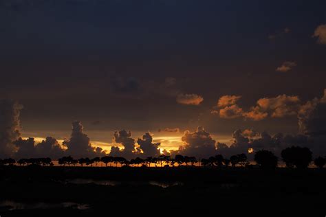 Wallpaper Clouds Sunset Horizon Trees Sky Night Dark Hd