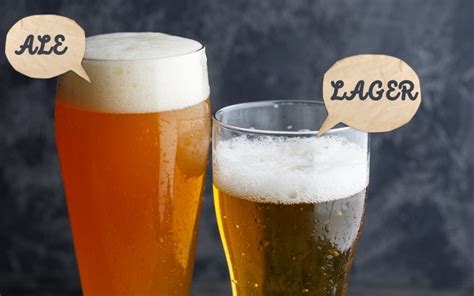 Ale Vs Lager Which Beer Is Perfect For You Advanced Mixology