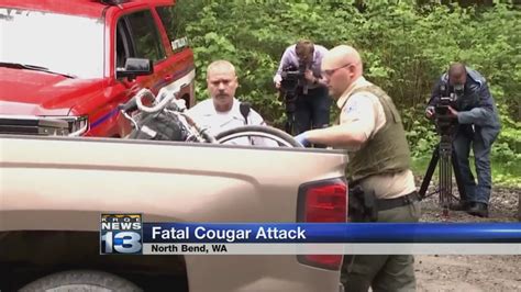 Cougar Kills 1 Mountain Biker Injures 2nd Near Seattle Youtube