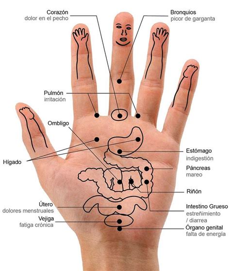 clip image001 terapia de la mano reflexología de mano masaje de manos