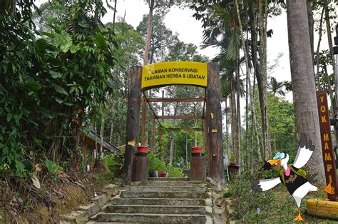 Sukacita dimaklumkan taman botani negara shah aalam (tbnsa) akan mula beroperasi dan dibuka semula kepada orang awam bermula 1 april 2021 (khamis). Taman Botani Negara Shah Alam Fishing - Tautan d