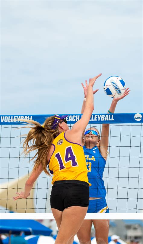 Each team tries to score points by grounding a ball on the other team's court under organized rules. Gallery: Beach volleyball defeats USC and LSU during NCAA ...