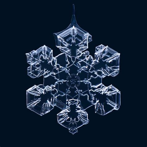 Real Snowflake Pictures Recent Photos The Commons Getty Collection