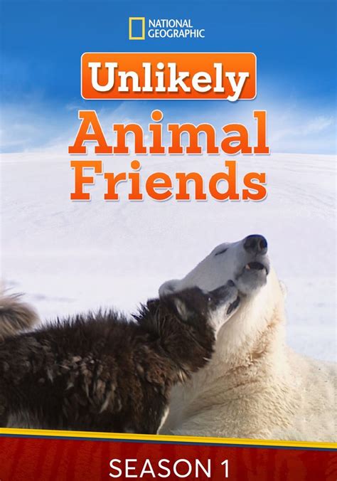 Unlikely Animal Friends Season 1 Episodes Streaming Online