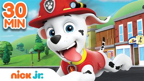 Best Of Marshall 🐶 Paw Patrol 30 Minute Compilation Nick Jr Youtube