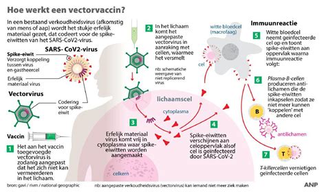 In principle, it has cleared them for use among. Janssen-Vaccin Nederland Levering - Wie Krijgt Wanneer ...