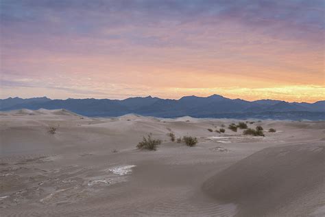 Mesquite Flat Sand Dunes At Sunrise Photograph By M C Hood Fine Art