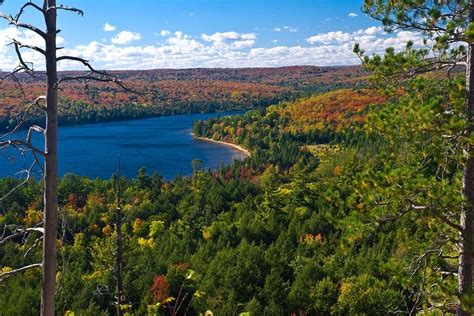 Algonquin Provincial Park Canada In Autumn