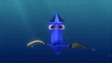 We did not find results for: Finding nemo finding dory dory GIF on GIFER - by Ianrdred