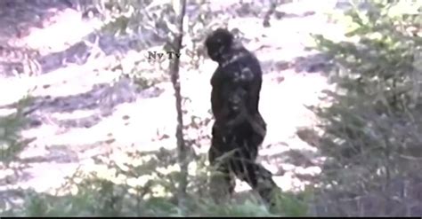 New Footage Allegedly Shows Recent Sighting Of Bigfoot In Idaho Vt