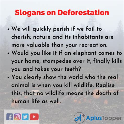 💐 Deforestation Titles 50 Catchy Save Forest Slogans 2022 10 18