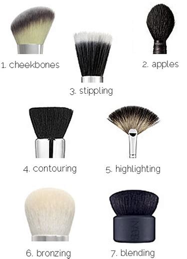 7 Makeup Brushes And How To Use Them Where Wellness