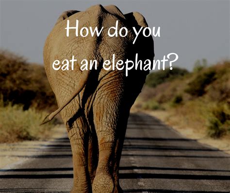 How Do You Eat An Elephant Johanna Mcclain