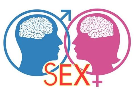 Sex Là Gì Những Cách Thức Sex ở Con Người Như Thế Nào