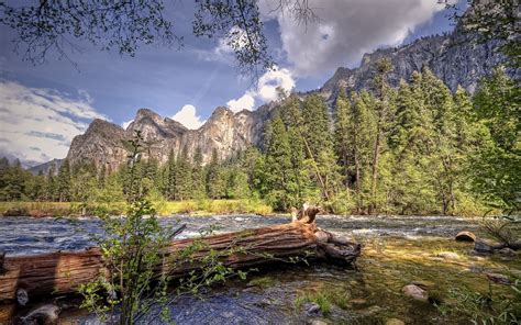 Landscape Nature Beautiful Forest Area Wild Sky Landscapes Wallpapers Hd Desktop And