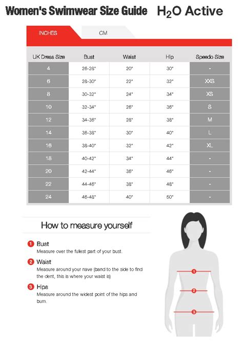 Speedo Size Guide Atelier Yuwaciaojp