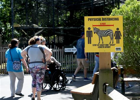 Eager Visitors Flock To Reopened Nj Zoo After Coronavirus