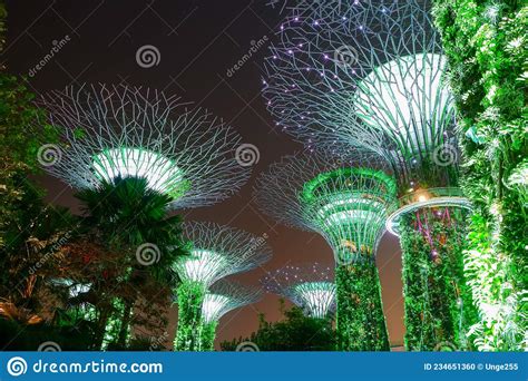 Singapore Garden By The Bay Super Tree Garden At Night Editorial Image