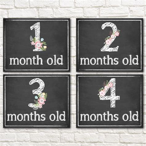 Monthly Baby Signs Baby First Year Monthly Milestone Chalkboard