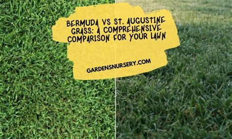 Bermuda Vs St Augustine Grass A Comprehensive Comparison For Your Lawn