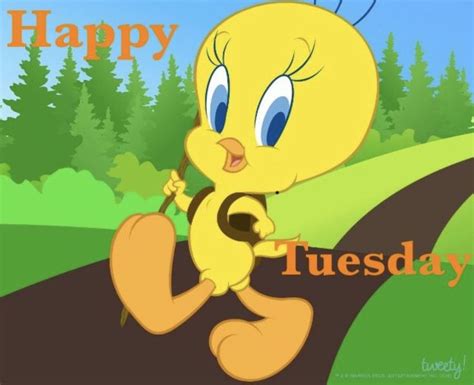 Happy Tuesday Dibujos De Piolin Looney Toons Piolin
