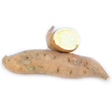 Produce Market Guide Pmg Yellow Flesh Sweet Potatoes