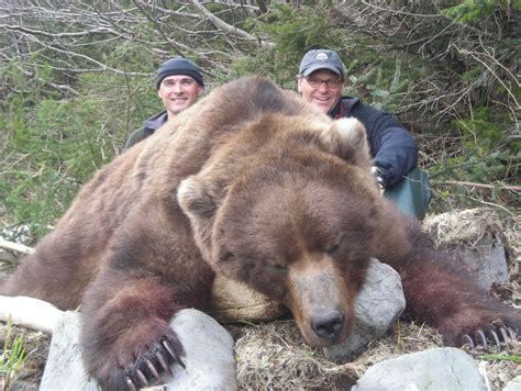 Alaska Brown Bear Hunt 10361