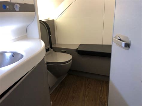 Wheelchair Accessible Airplane Lavatories Bathrooms Wheelchair Travel