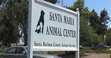 Santa Barbara county animal shelters join together for Black Friday events
