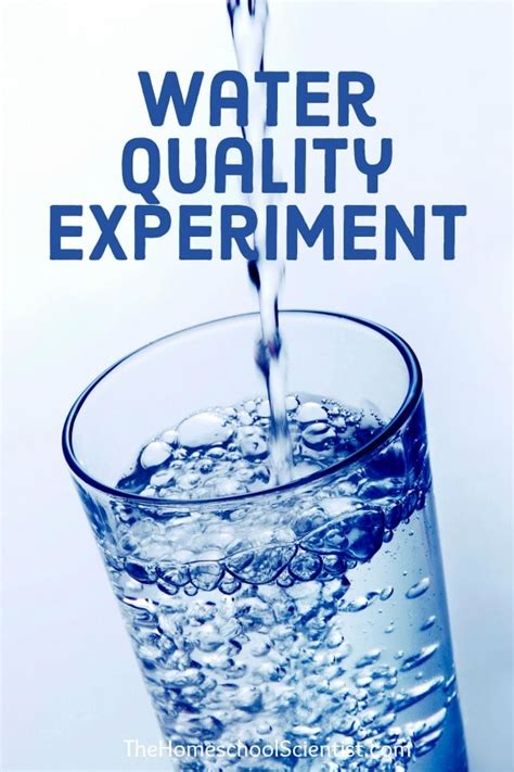 Water Quality Experiment The Homebabe Scientist