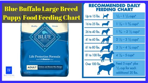 Blue Buffalo Large Breed Dog Food Feeding Chart Chart Walls