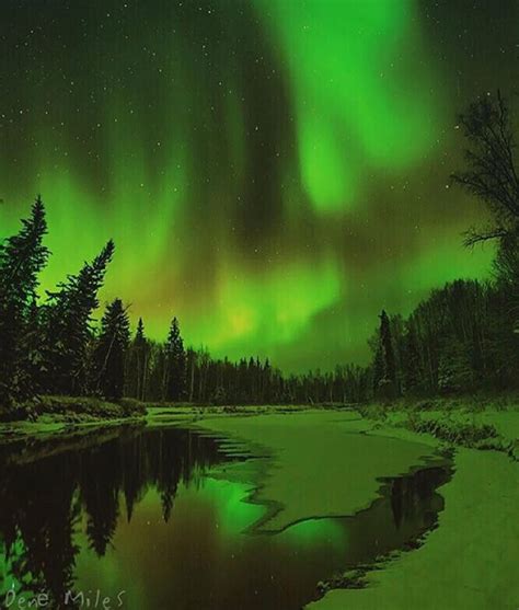 Northern Lights In Fairbanks Alaska 💚💚💚 Picture By