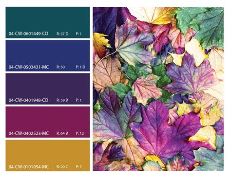 Colorful Leaves Autumn Leaves Color Scheme Colorful Leaves Mood Board