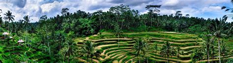 Tegalalang Rice Terraces In Bali Junjungan Ubud Hotel And Spa Bali Indonesia