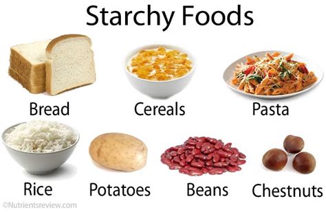 Starch Foods Digestion Glycemic Index Starchy Foods Food Starch