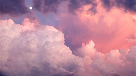 100 Pink Clouds Background S
