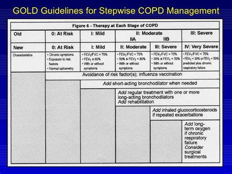 State Of The Art Overview Of Copd And Its Management Respiratory System