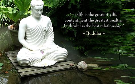 Quotes About Buddha Nature 50 Quotes