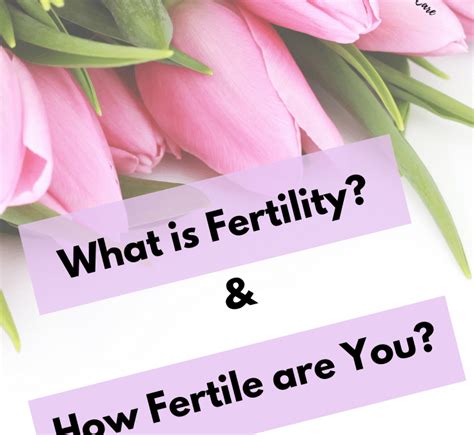 Fertility Ways To Check If You Are Fertile Her Ob Gyn Care